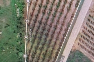 Οικόπεδο-αγρός 4.500 τ.μ. στον Ν. Ημαθίας